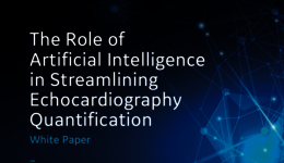The Role of AI in Streaming Echo. Whitepaper